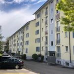 Rent 4 bedroom apartment of 80 m² in Schaffhausen