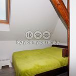 Rent 3 bedroom apartment of 75 m² in Ostrava