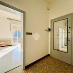 Affitto 3 camera appartamento di 85 m² in Mantova
