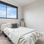 Rent 1 bedroom apartment in New Norfolk