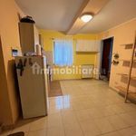 Affitto 2 camera appartamento di 40 m² in Palestrina