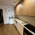 Rent 1 bedroom apartment of 72 m² in Harrachov
