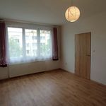 Rent 1 bedroom apartment of 36 m² in České Budějovice