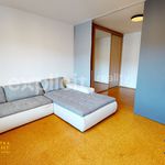 Pronajměte si 1 ložnic/e byt o rozloze 61 m² v Zlín