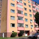Rent 2 bedroom apartment of 66 m² in Sokolov