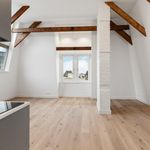 Rent 1 bedroom apartment of 50 m² in Amsterdam