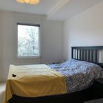 Rent 1 bedroom apartment in Cambridge