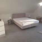 Huur 3 slaapkamer huis van 740 m² in Grimbergen