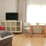 Rent 1 bedroom apartment of 40 m² in Cologne