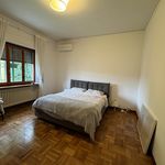 Affitto 7 camera appartamento di 218 m² in Bagno a Ripoli