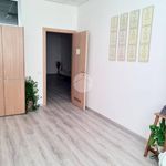 Affitto 1 camera appartamento di 80 m² in Servigliano