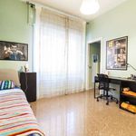 Rent a room in Roma