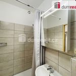 Rent 1 bedroom apartment of 30 m² in Mikulov