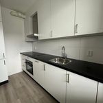 Rent 3 bedroom apartment of 74 m² in Rotterdam