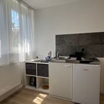 Miete 1 Schlafzimmer wohnung von 20 m² in Bad Kreuznach