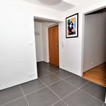 Rent 1 bedroom apartment of 40 m² in Pilsen