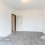 Rent 2 bedroom apartment of 52 m² in Plzeň