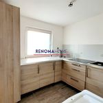 Rent 1 bedroom apartment of 49 m² in Legnica