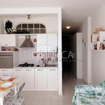 Rent 1 bedroom apartment in Follonica