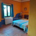 Rent 1 bedroom apartment of 42 m² in Siena