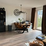 Rent 3 bedroom house of 87 m² in Kapelle