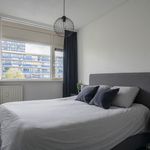 Rent 3 bedroom apartment of 53 m² in Arnhem