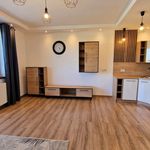 Rent 1 bedroom apartment of 35 m² in Częstochowa