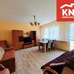 Wynajmij 2 sypialnię apartament z 53 m² w Bełchatów