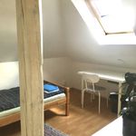 Rent a room of 87 m² in Prague