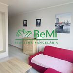Rent 2 bedroom apartment of 42 m² in Petrovice I