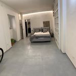 Affitto 1 camera appartamento di 30 m² in Pisa