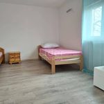 Rent 3 bedroom house of 60 m² in Hreljin