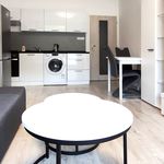 Rent 1 bedroom apartment of 30 m² in Děčín