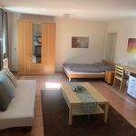 Rent 2 bedroom apartment of 55 m² in Wettenberg