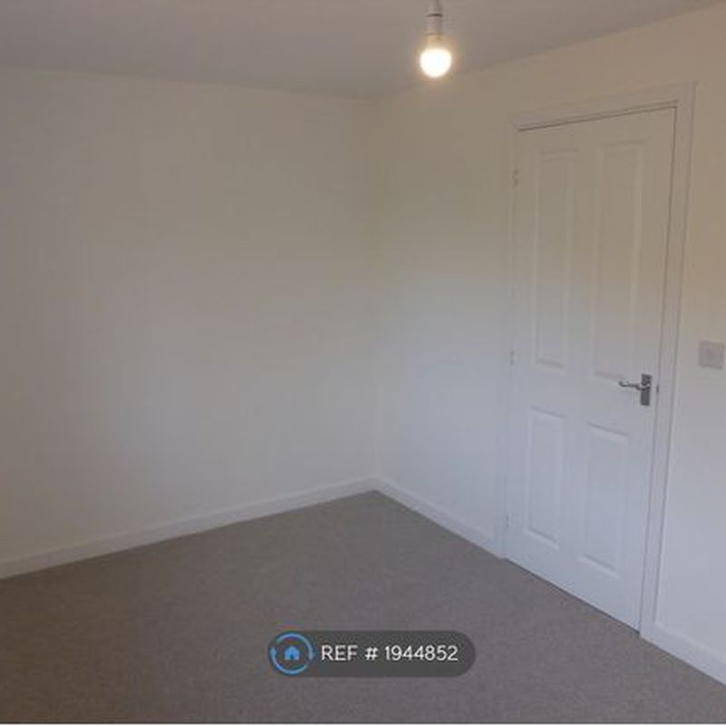 Terraced house to rent in Mortimer Avenue, Cardiff CF3 Pontcanna