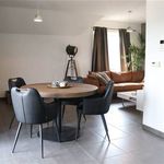 Rent 2 bedroom apartment in Puurs-Sint-Amands