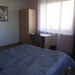 Rent a room of 82 m² in Kraków
