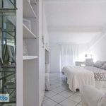 Rent 2 bedroom apartment of 41 m² in Milano