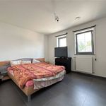 Rent 2 bedroom apartment in Gerpinnes