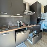 Affitto 3 camera appartamento di 95 m² in Monza