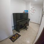 Affitto 4 camera appartamento in Catania