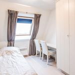 Huur 3 slaapkamer appartement in Ostend