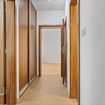 Rent 3 bedroom apartment of 83 m² in Nachod