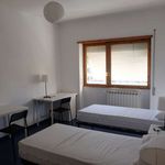 Affitto 4 camera appartamento di 100 m² in Roma