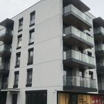 Rent 1 bedroom apartment of 31 m² in Poznań