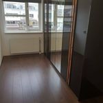 Rent 4 bedroom apartment in Nootdorp