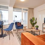 Rent 2 bedroom apartment of 45 m² in Zandvoort