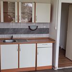 Rent 2 bedroom apartment of 39 m² in Duchcov