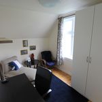 Rent a room of 250 m² in Bergen