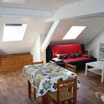 Rent 2 bedroom apartment of 40 m² in Schiltigheim